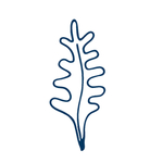 手绘海洋生物