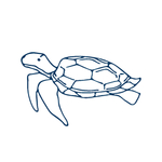 手绘海洋生物