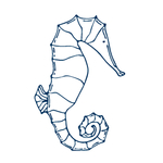 手绘海洋生物