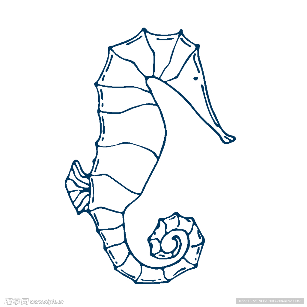 手绘海洋生物