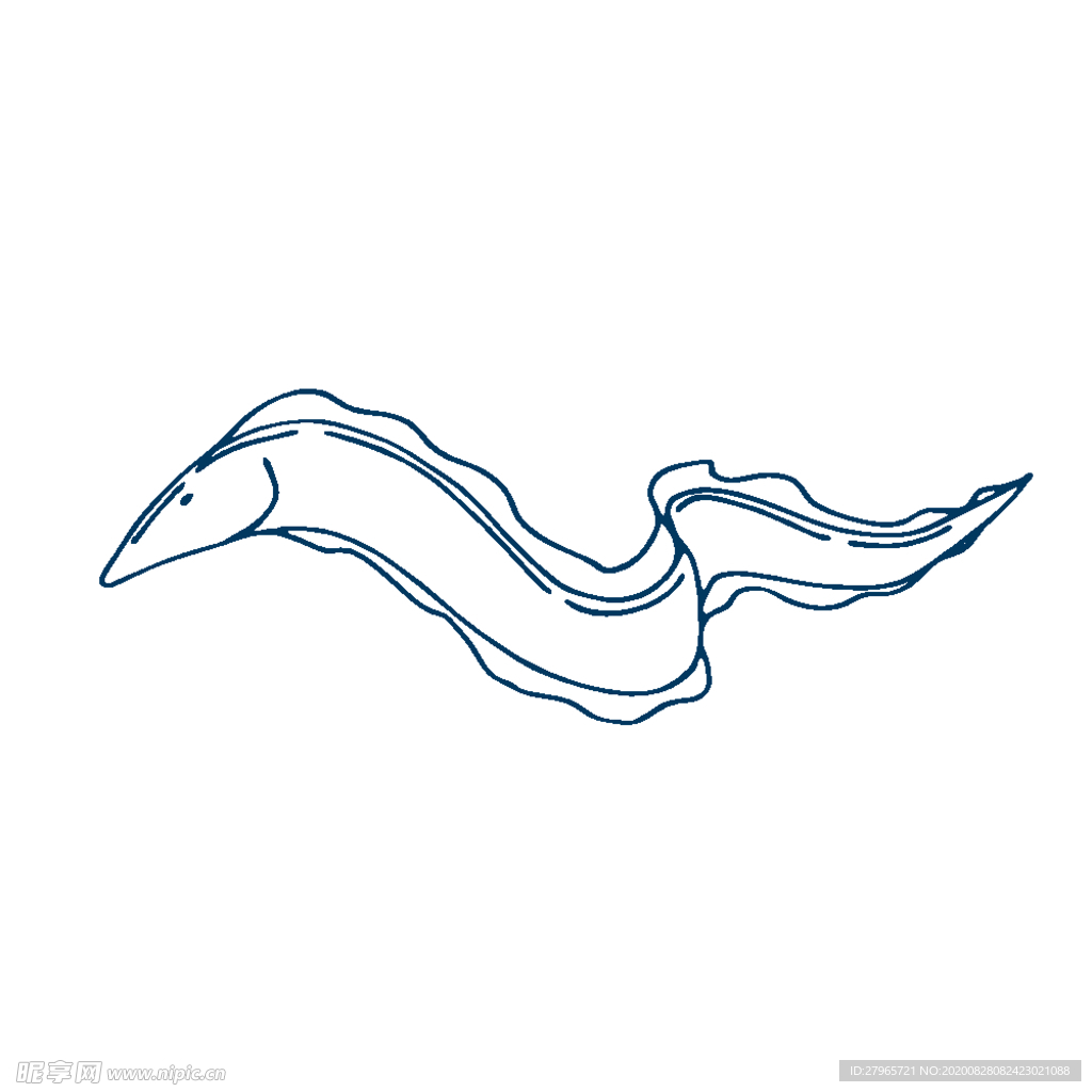 手绘海洋生物
