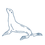 手绘海洋生物