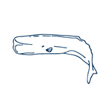 手绘海洋生物