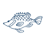 手绘海洋生物