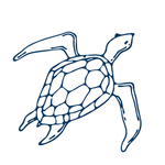 手绘海洋生物