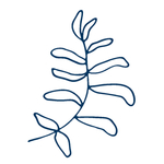 手绘海洋生物