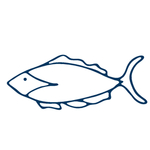 手绘海洋生物