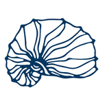 手绘海洋生物