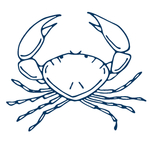 手绘海洋生物