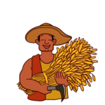 农民形象
