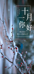 十一月你好