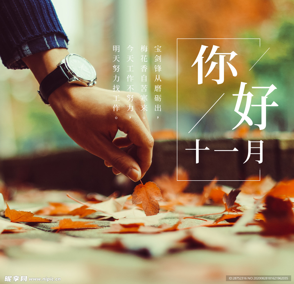 十一月你好