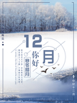 十一月你好