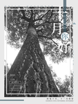 十一月你好