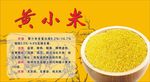 黄小米