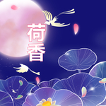 荷花 月亮  鸟 凤凰 星空