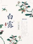 白露