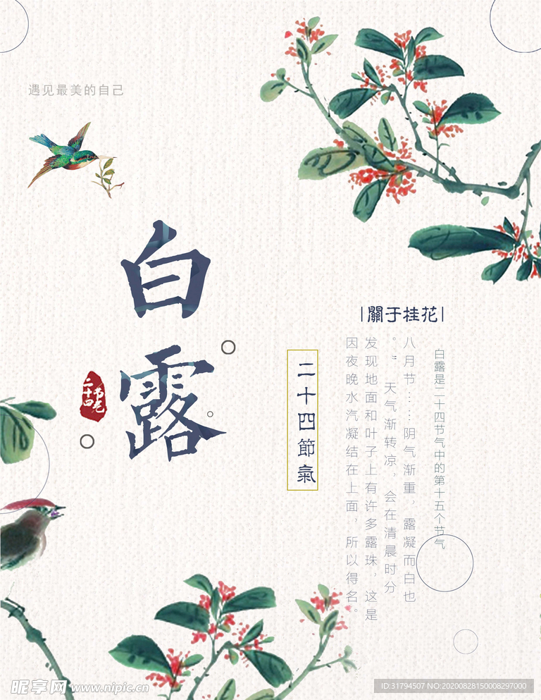 白露