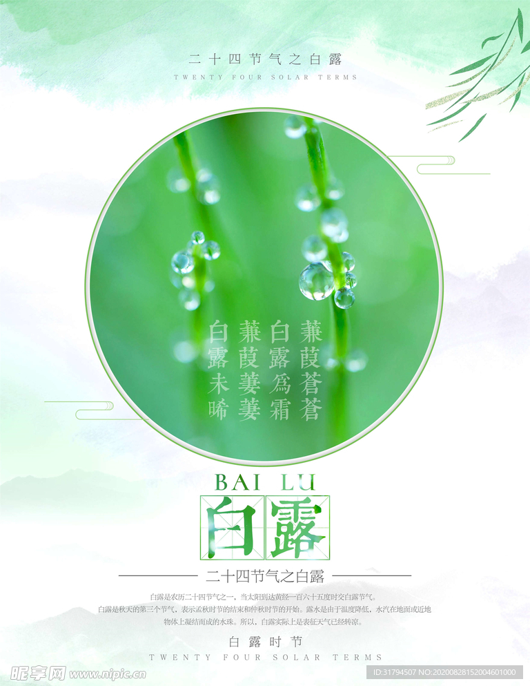 白露