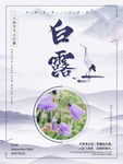 白露