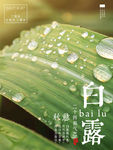 白露