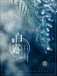 白露