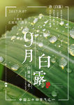 白露