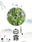 白露