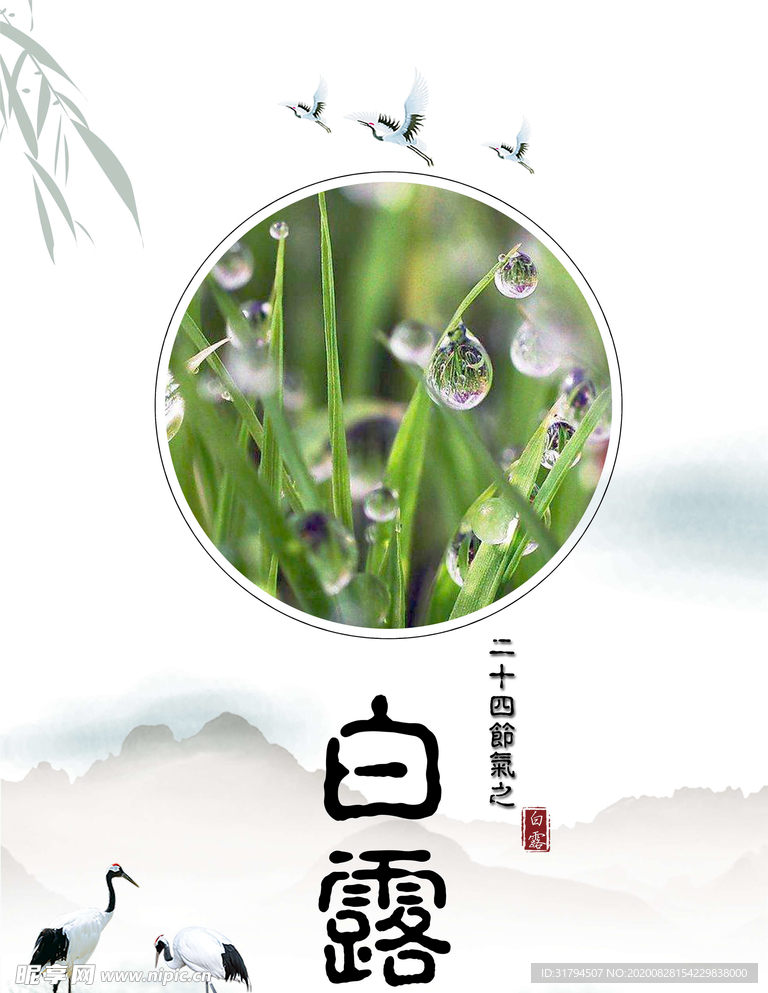 白露
