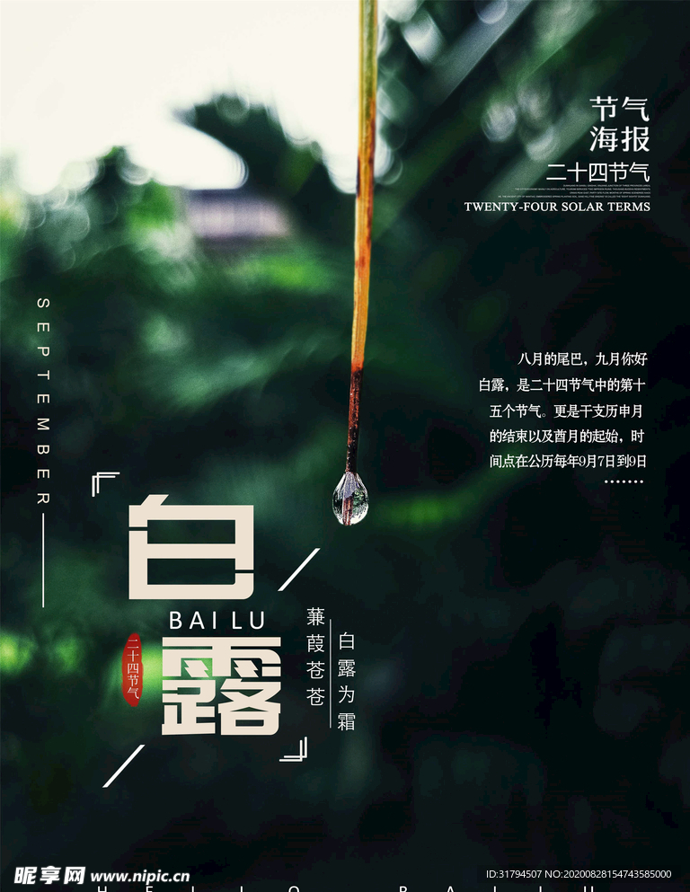 白露