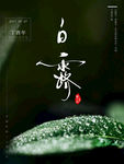白露
