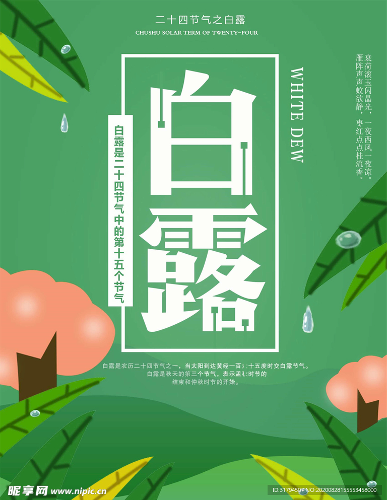 白露