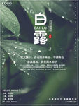 白露