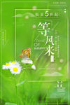 等风来