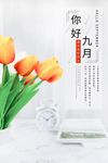 你好九月