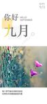 九月你好