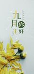 你好九月
