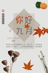 九月你好