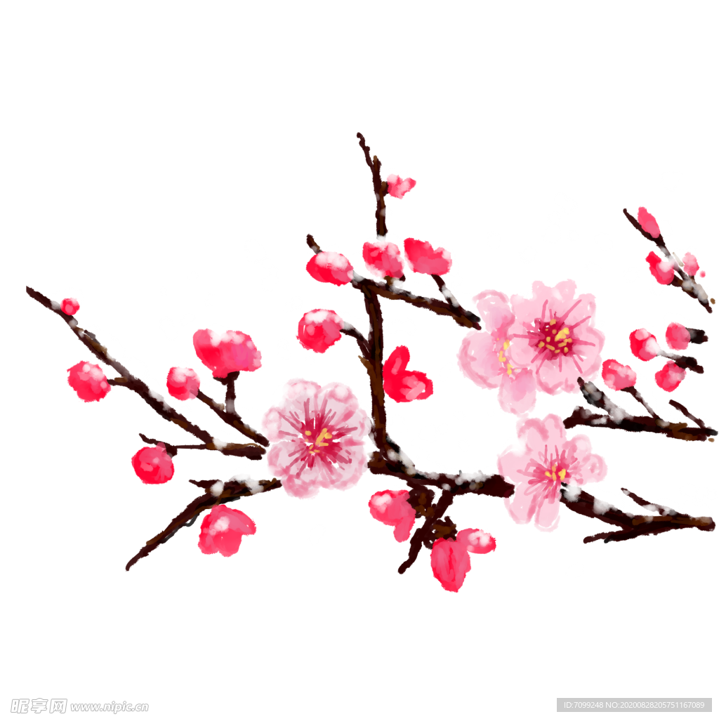 中国风水墨梅