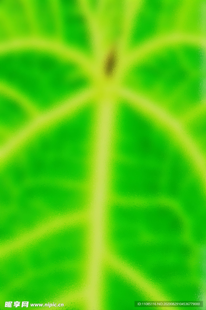 绿色潮流抽象