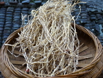 药根