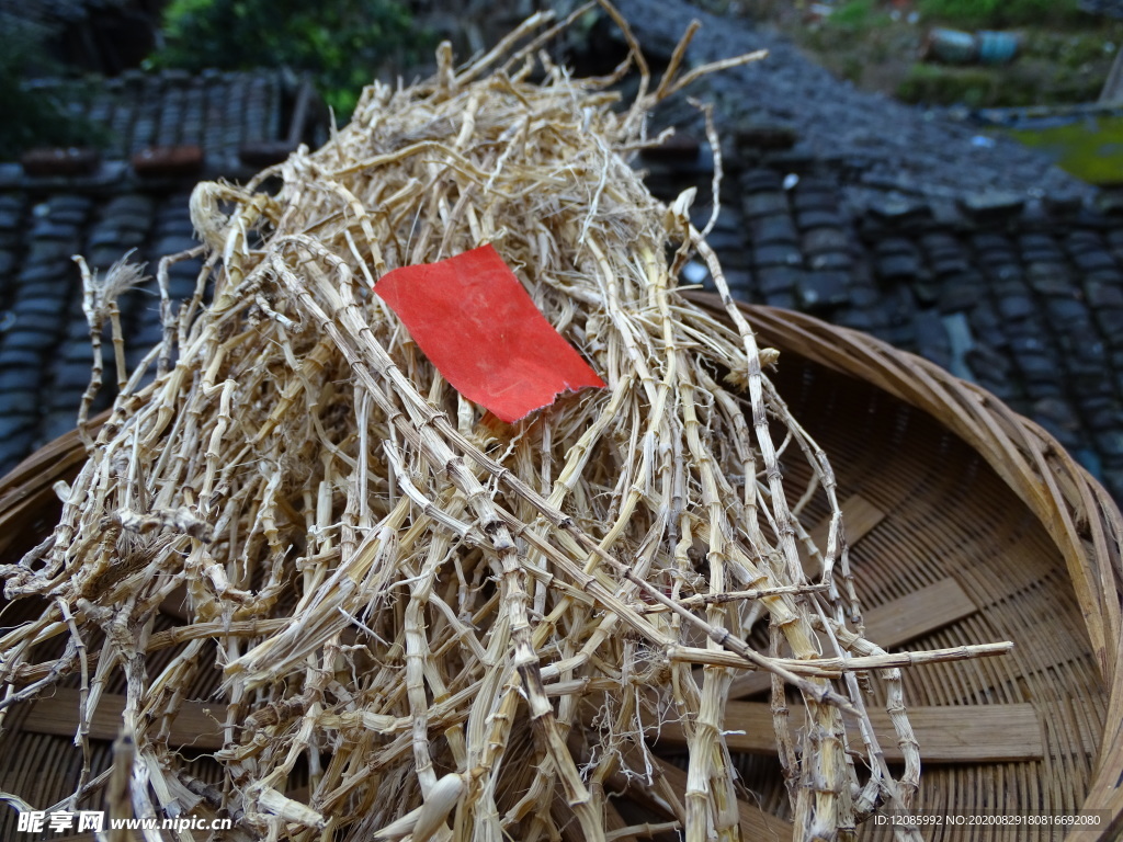 药根