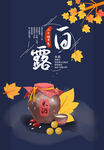 白露海报