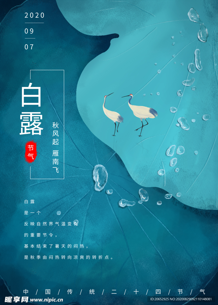 白露海报