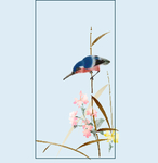 鸟