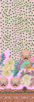 孔雀