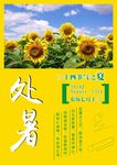 处暑海报