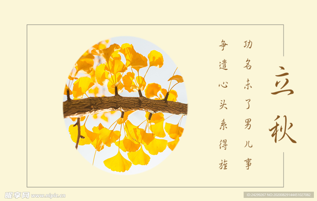 杏树叶