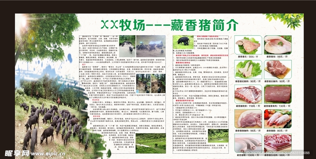 藏香猪牧场