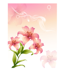 百合花